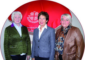 Vorstand SkF